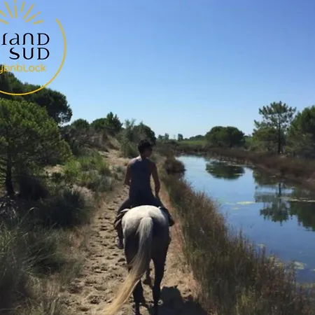 Le Quai Aux Fleurs - P2 Avec Terrasse A Deux Minutes De La Secteur Port Camargue *