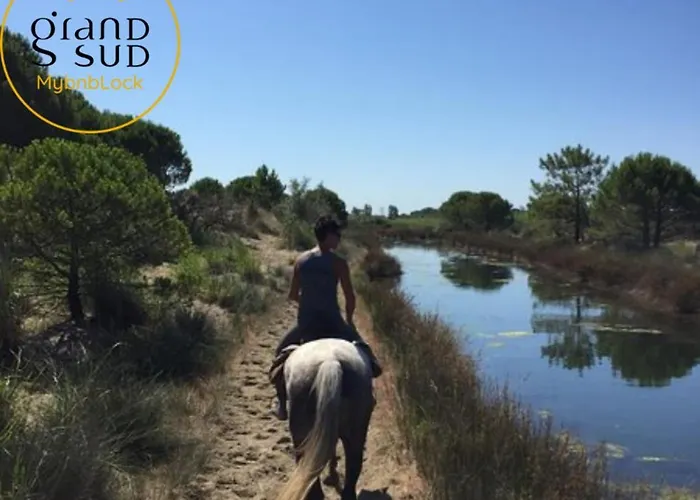 Le Quai Aux Fleurs - P2 Avec Terrasse A Deux Minutes De La Secteur Port Camargue *